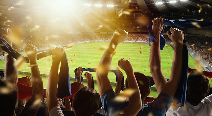 ポルトガル語翻訳の実績例の写真⑤プロサッカーチーム